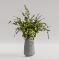 Minimalist Gray Vase With Fresh Green Ferns For Home Interior Decor