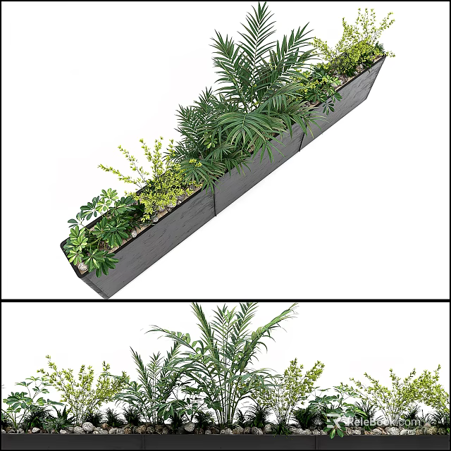 Rectangular Planter with Various Green Potted Plants Tropical Leaves and Small Shrubs 3d model