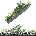Rectangular Planter with Various Green Potted Plants Tropical Leaves and Small Shrubs 3d model