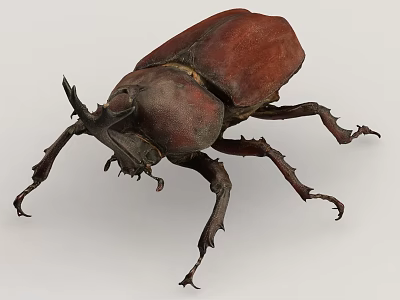 Horned Brown Reptile With Scales And Legs On Light Gray Background 3d model