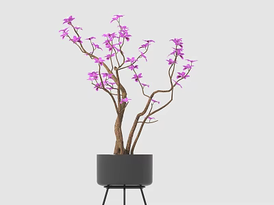 Purple Flowering Plant in Black Pot with Metal Stand for Indoor Decorative 3d model