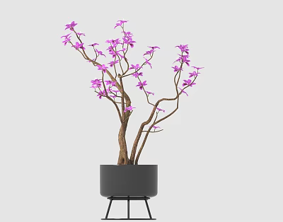 Purple Flowering Plant in Black Pot with Metal Stand for Indoor Decorative 3d model