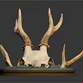 Detailed Deer Skull Antler Sculpture With Green Base And Artistic Design