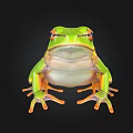 Vibrant Green Frog With Distinct Color Patterns Sitting On Black Background