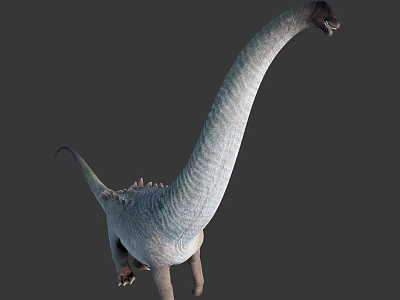 Realistic 3D Sauropod Dinosaur Model With Long Neck Scaly Skin And Tail 3d model