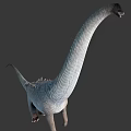 Realistic 3D Sauropod Dinosaur Model With Long Neck Scaly Skin And Tail
