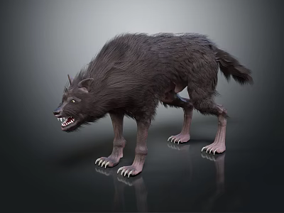 Realistic 3D Wolf Model With Dark Fur Sharp Teeth And Aggressive Posture 3d model