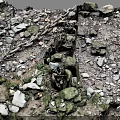 Rugged Rocky Terrain With Scattered Pebbles Green Vegetation Wooden Stakes And Chain