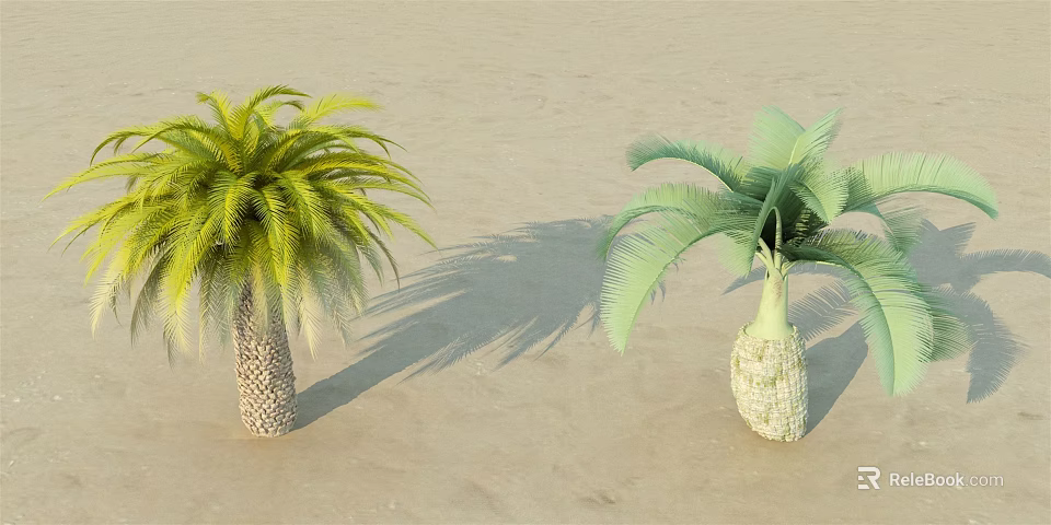Two Palm Trees With Different Colored Leaves And Textured Trunks On Sandy Ground 3d model 
