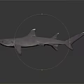 Realistic 3D Rendering Of Grayish Purple Shark With Sharp Fins And Detailed Body Structure