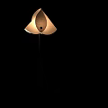 Modern Minimalist Floor Lamps Featuring Black Cone Base And White Lampshade Design