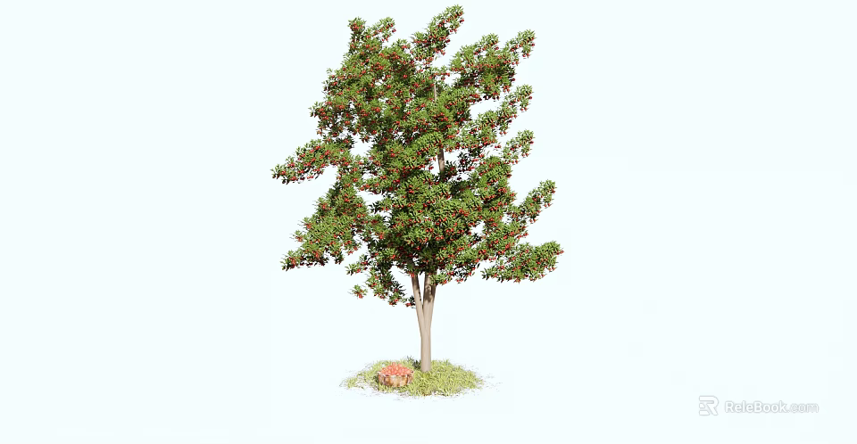 Lush Green Arbor With Dense Leaves Red Flowers And Grass Ground 3d model 