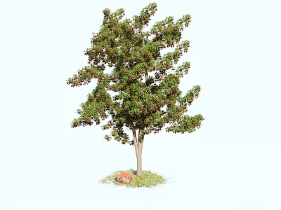 Lush Green Arbor With Dense Leaves Red Flowers And Grass Ground 3d model