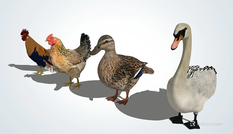 Colorful Poultry And Waterfowl Group Featuring Chicken Duck And Swan 3d model 