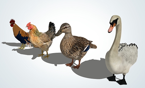 modern poultry duck 3d model