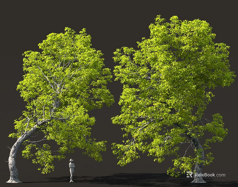 Two Tall Lush Green Trees With Human Figure For Size Reference 3d model 