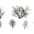 Modern Tree Dead Tree Big Tree Plant 3d model