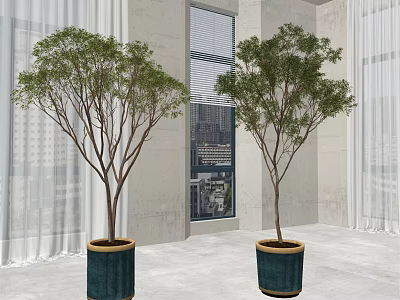 Bonsai Potted Plants In Modern Interior With Large Windows And White Curtains 3d model