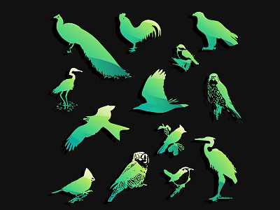 Flying Animals Silhouettes In Green Blue Gradient On Black Background With Various Species 3d model