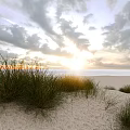 Tall Grass Swaying On Sandy Beach With Calm Sea And Sunlight Through Cloudy Sky