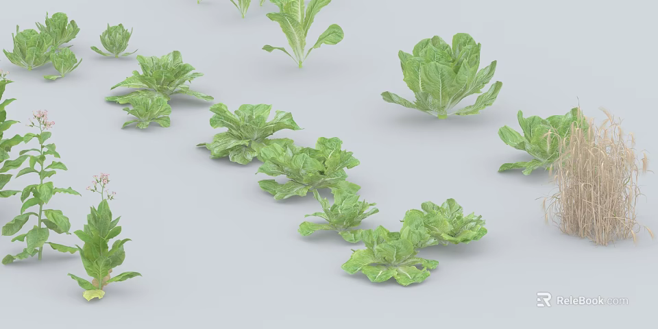 Fresh Green Leafy Vegetables With Crisp Leaves Scattered On White Background 3d model 