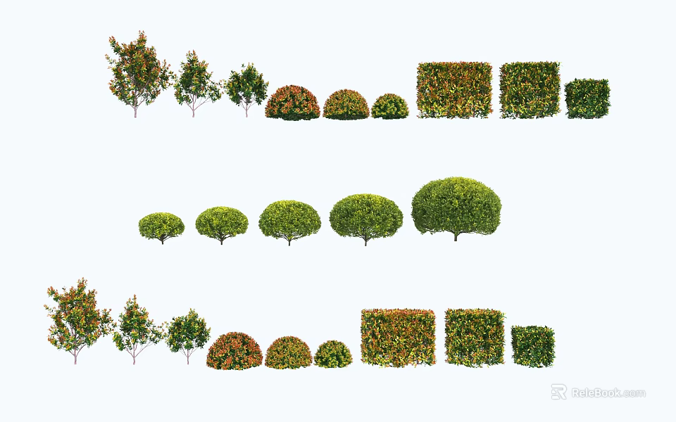 Diverse Plant Combinations With Shaped Shrubs Trees Various Sizes And Colorful Foliage 3d model 