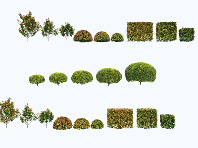 Diverse Plant Combinations With Shaped Shrubs Trees Various Sizes And Colorful Foliage 3d model