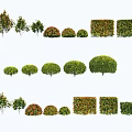 Diverse Plant Combinations With Shaped Shrubs Trees Various Sizes And Colorful Foliage