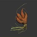 Vibrant Orange Botanical Plant Featuring Curved Structures And Green Stems Leaves