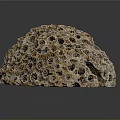 Aquatic Coral Reef Structure Featuring Porous Surface And Marine Formation Details
