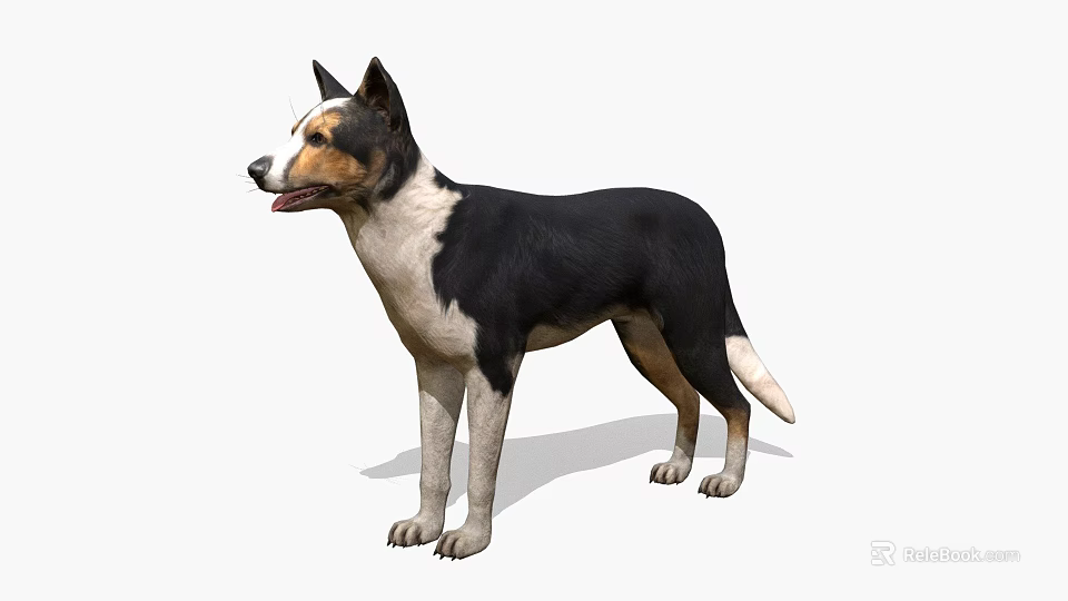 Realistic Game Movie Character Dog With Black White Coat Standing Pose 3d model 