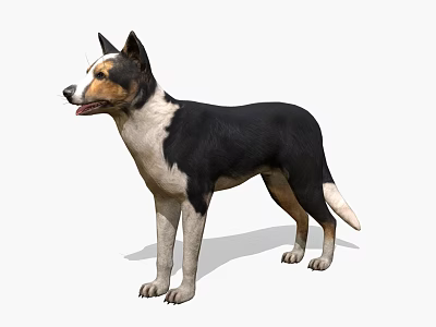 Realistic Game Movie Character Dog With Black White Coat Standing Pose 3d model