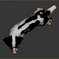 Brown and white dog with fluffy shiny coat standing alert on dark background