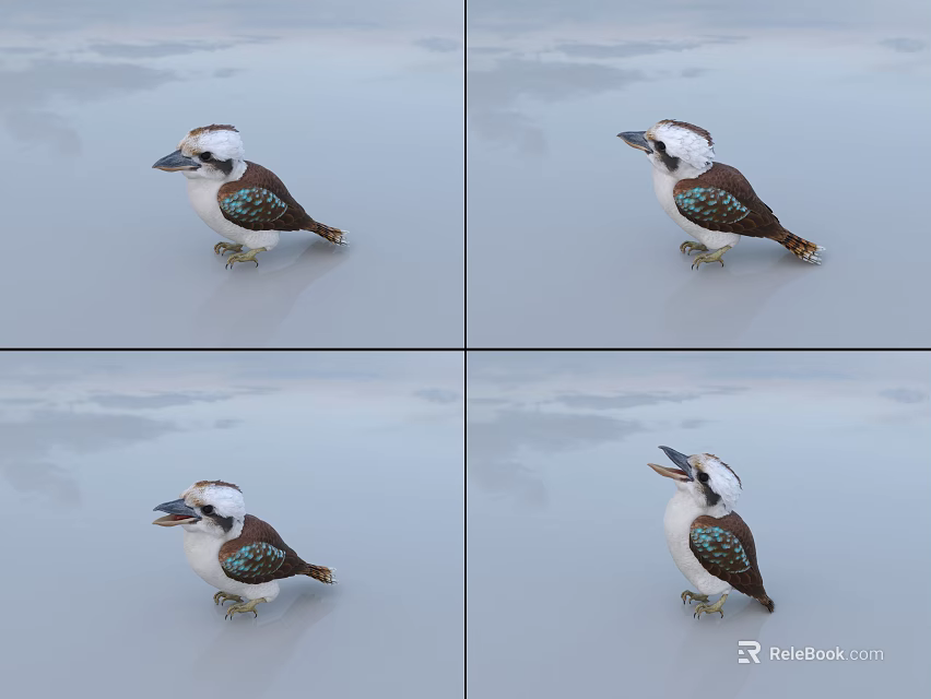 Kookaburra Flight Animal Showing Varied Postures With Blue Green Feathers And Open Beak 3d model 