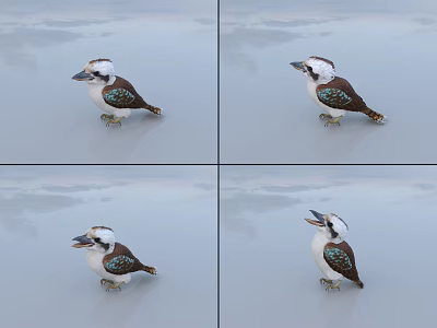 Kookaburra Flight Animal Showing Varied Postures With Blue Green Feathers And Open Beak 3d model