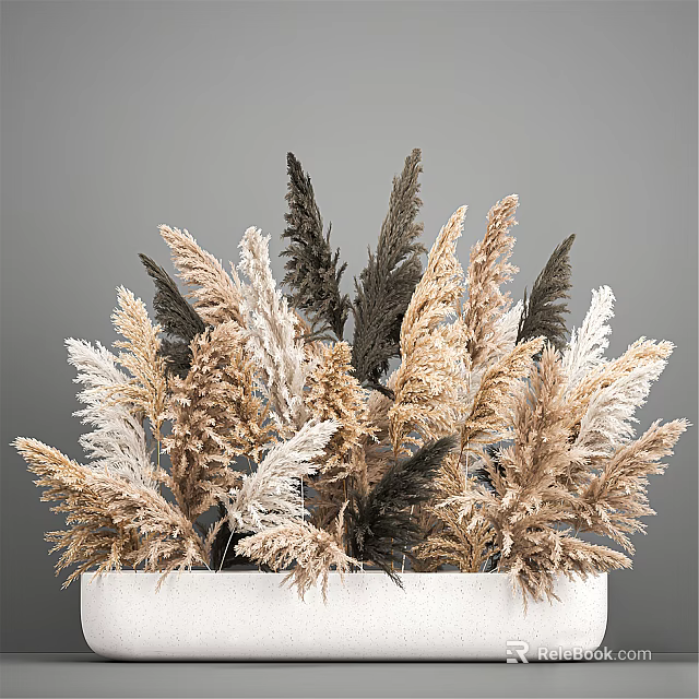 Decorative Potted Dried Pampas Grass With Feathery Plumes In Beige Brown And Dark Gray Tones 3d model 