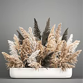 Decorative Potted Dried Pampas Grass With Feathery Plumes In Beige Brown And Dark Gray Tones