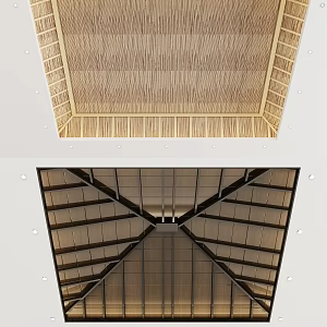 Southeast Asia Ceiling 3d model