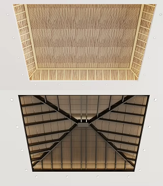 Southeast Asia Ceiling 3d model
