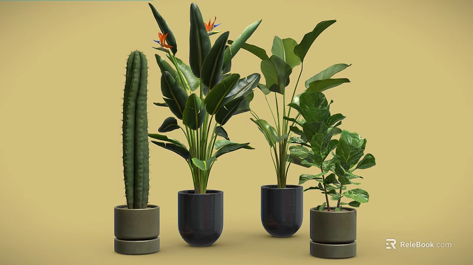 Different Potted Plants With Cactus Green Leaf And Orange Flower In Stylish Pots Yellow Background 3d model 
