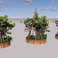 Garden Landscape With Wooden Trellis Grape Vines Purple Grapes And Barrel Planters
