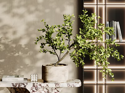 bonsai green plant books 3d model