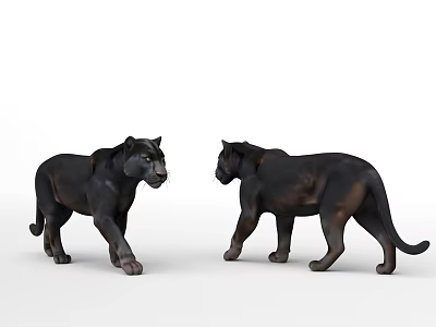 Realistic Black Panther Figurines Standing Facing Each Other On White Background 3d model