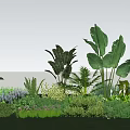 Diverse Garden Plants With Tropical Foliage Lush Greenery And Grass