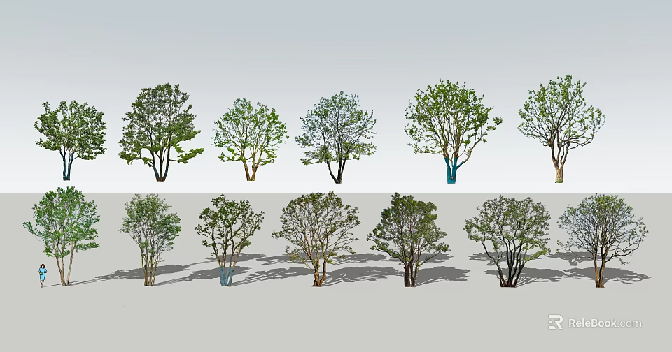Various Arbor Tree Varieties For Landscape With Different Foliage And Shapes 3d model