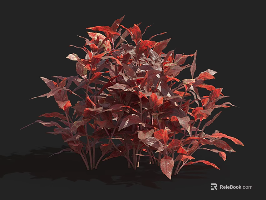 Aquatic Plants With Red Leaves And Vibrant Foliage In Lush Dense Growth 3d model 