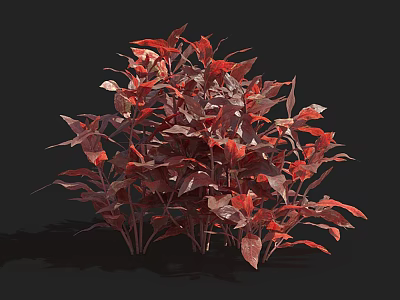 Aquatic Plants With Red Leaves And Vibrant Foliage In Lush Dense Growth 3d model