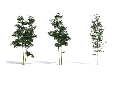 Tall Decorative Bamboo Plants With Lush Green Leaves And Natural Stems 3d model
