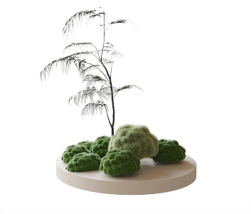 Modern Plant Ornaments Bonsai 3d model