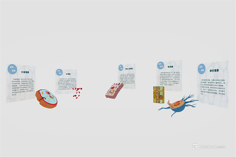 Medical Devices Educational Display Featuring Diagrams and Cellular Structure Illustrations on Boards 3d model 
